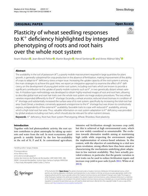 Pdf Plasticity Of Wheat Seedling Responses To K Deficiency