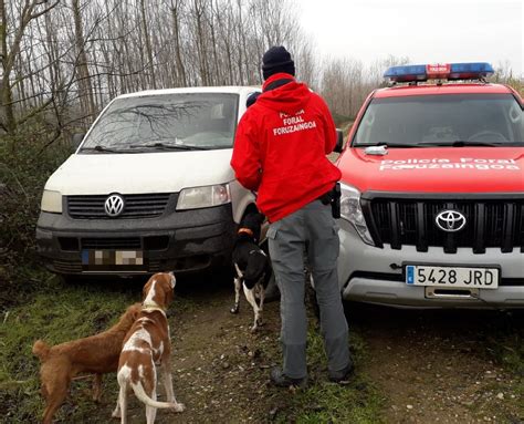 Imputado En Baztan Por Matar A Un Perro A Patadas