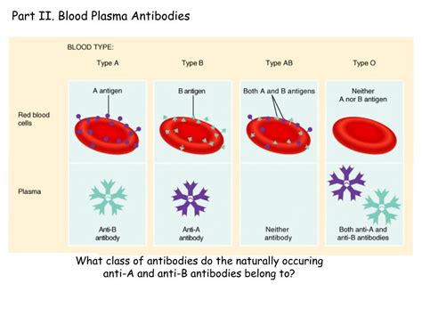 Ppt Part I Abo And Rh Blood Antigens Powerpoint Presentation Free