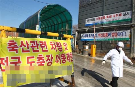 구제역 위기경보 ‘심각→ ‘경계로 하향