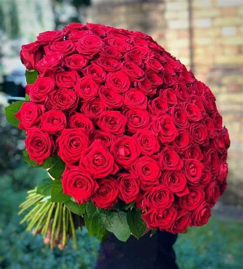 100 Long Stem Roses Bouquet By Park Florist