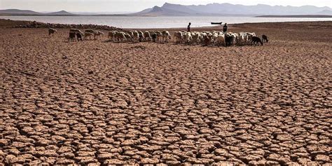 Cop Sur La D Sertification Le Monde Ne Parvient Pas Un Accord