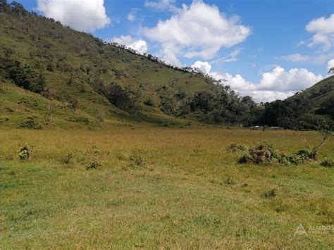 LOTES CAMPESTRES EN HERMOSO LUGAR DEL ORIENTE ANTIOQUEÑO 120 000 000 COP