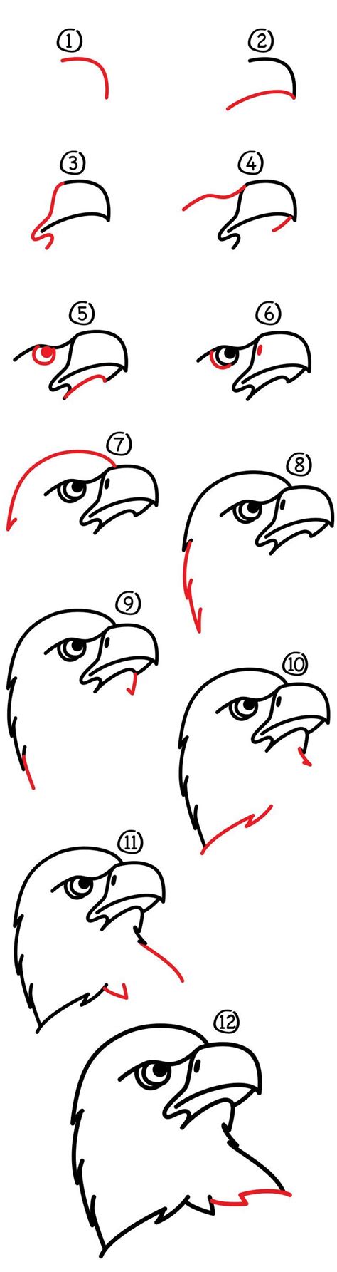 Draw An Eagle Step By Step at Drawing Tutorials