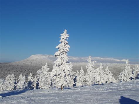 Free Images Tree Snow Frost Mountain Range Ice Natural Weather