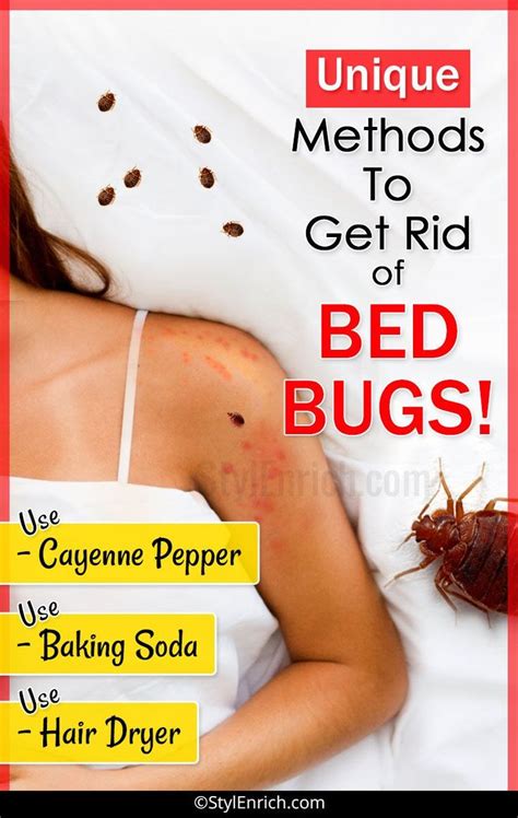 How To Get Bed Bugs Out Of Cars