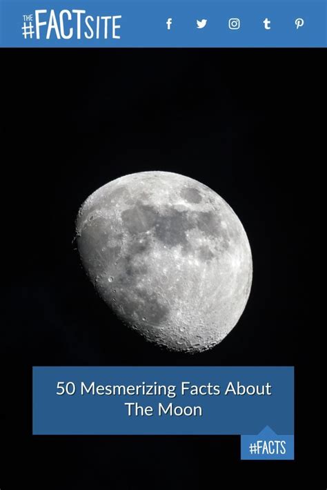 50 Mesmerizing Facts About The Moon - The Fact Site