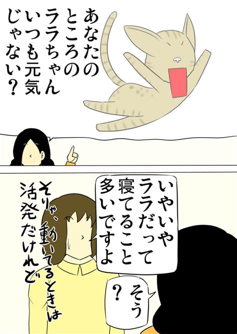 猫の寝る頻度も個体差はある？ 猫の漫画とケモナーの漫画が見れるブログ