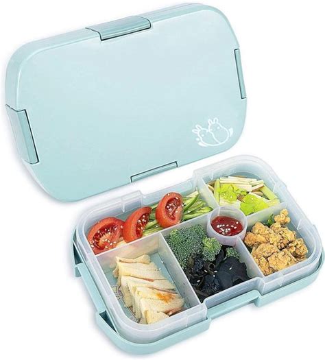 Bento Box Broodtrommel Voor Kinderen Met Vakken Broodtrommel Voor