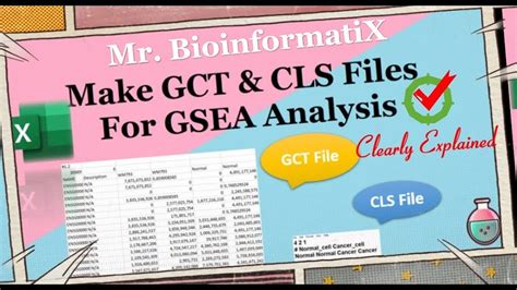 Make GCT And CLS Files For Gene Set Enrichment Analysis GSEA Mr