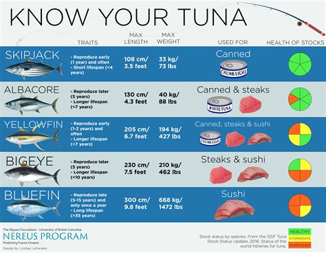 Majority of Pacific bluefin tuna migrate across the ocean - Nereus ...