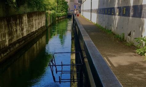 Alzano Lombardo Alzano Ciclovia Dei Fiori Gettati In Acqua Ma Chi