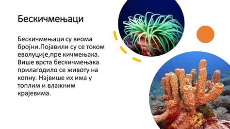 Biologija Ppt