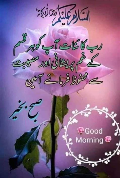 Pin By Zubia Kiran On Subah Bakhair Good Morning Images Flowers