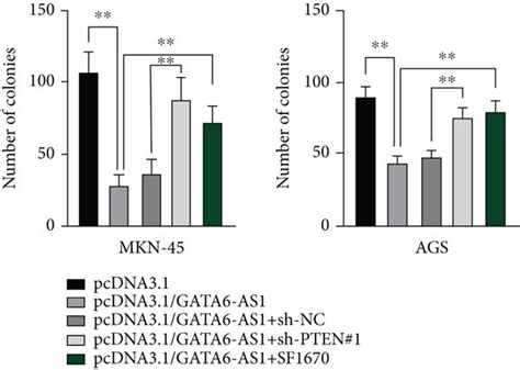 Gata As Suppresses The Progression Of Gc By Regulating Pten Akt