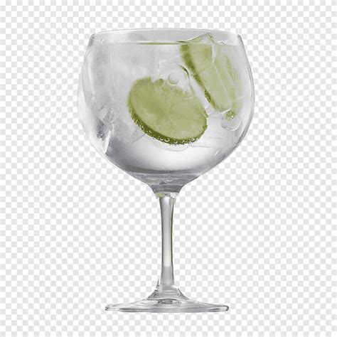 Gin And Tonic Tonic Water Cocktail Wine Cocktail Glass Wine Glass