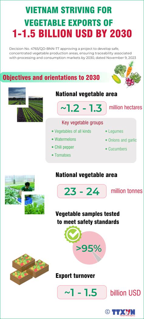 Vietnam Striving For Vegetable Exports Worth 1 15 Bln Usd By 2030