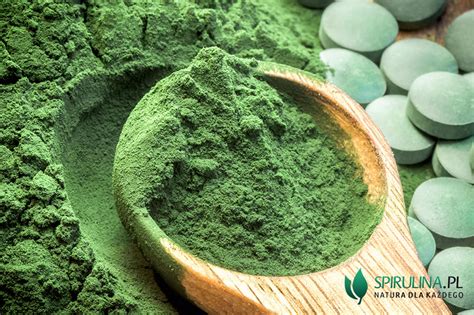 Algi Spirulina i Chlorella najważniejsze informacje w jednym miejscu