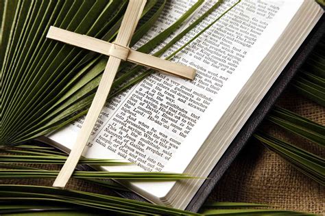 Palm Sunday Jesus