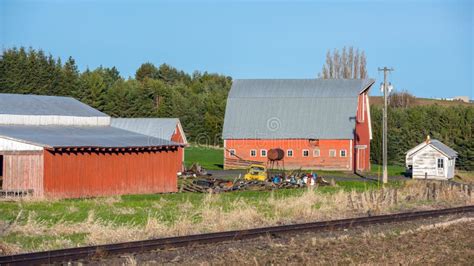 Classic Farm Barn and Pile of Junk with Old Yellow Truck Stock Image ...