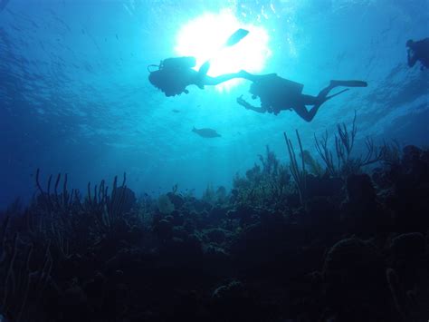 Little Cayman Diving Day 1 – Not Your Average Engineer