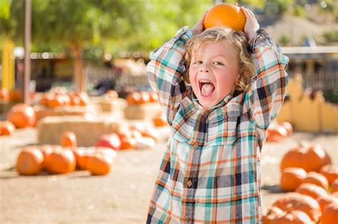 Premium Photo Adorable Little Boy Sitting And Holding His Pumpkin In