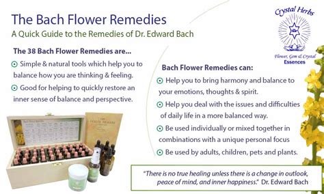 The Bach Flower Remedies | A Guide to the Remedies & Work of Dr Bach