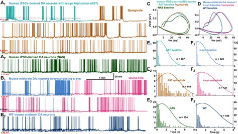 Agonist Activation Of D R Reduces The Size Of Clustered Burst Firing In