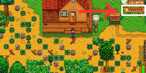 Stardew Valley: Unlimited Money Glitch