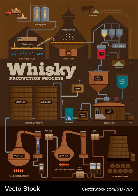 Whisky distillery production process infographics Vector Image