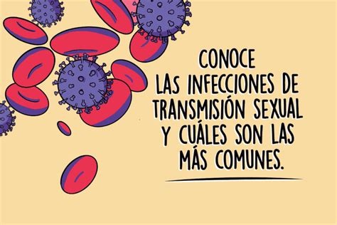 Conoce Las Infecciones De Transmisión Sexual Y Cuáles Son Las Más Comunes