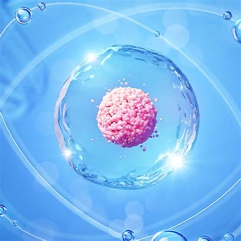 The Potential Of Cell And Gene Therapy In Incontinence Management