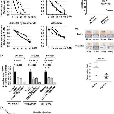 The Oxytocinoxytocin Receptor Oxt‐oxtr Signaling Promotes