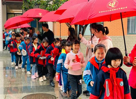 暖心！风雨中，老师们用伞撑起一道“爱心走廊” 科教 长沙晚报网