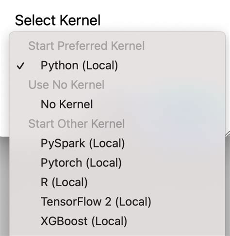 What Is The Difference Between Pytorch And Python Kernel In Jupyter Or