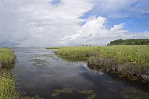 How We’re Working To Ensure A Safer Cape Fear River Basin For Nc Communities Southern