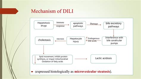 Drug Induced Liver Injury Dili Ppt