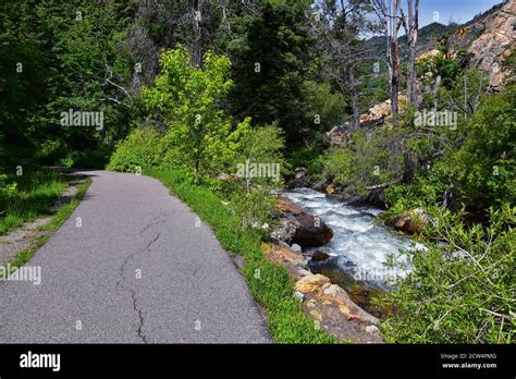 Hiking Trail To Lake Blanche Forest And Mountain Wasatch Front Rocky