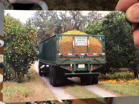 Evolution Of Florida Citrus Growers What It Takes To Stay In The