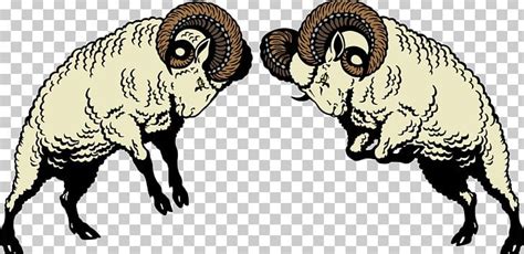 Sheep Ram Fighting PNG, Clipart, Animals, Black And White, Cattle Like ...