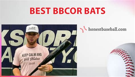 20 Best BBCOR Bats 2023 [December Update]