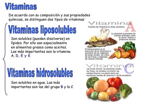 Definicion Y Tipos De Vitaminas