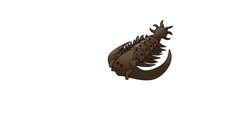 Ark Survival Evolved: Trilobite by axoNNNessj on DeviantArt