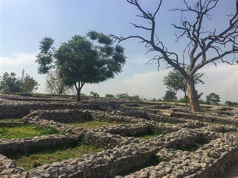 A Step By Step Diy Guide On How To Explore And Maximize Your Taxila And