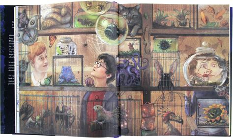 Jim Kay Harry Potter Harry Potter Art Drawings Harry Potter