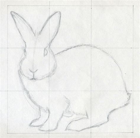 Bunny Pencil Drawing