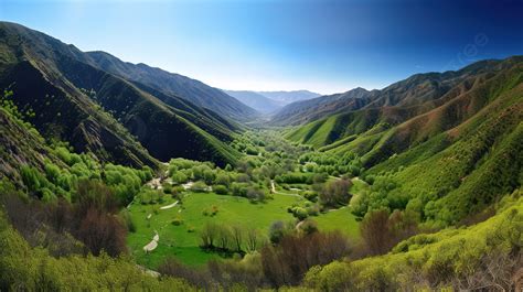 The Valley Is Surrounded By Green Trees And A Lot Of Grass Background