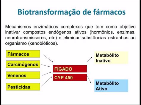 O Metabolismo Dos Farmacos Normalmente Dividido Em Duas Fases Librain