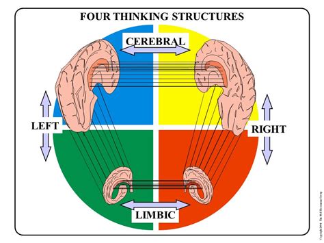 Herrmann International Whole Brain® Thinking Technology Ppt Download