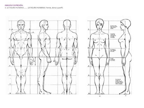 Alzado Y Perfil De Figura Humana Buscar Con Google Corpo Umano